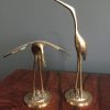 herons 1