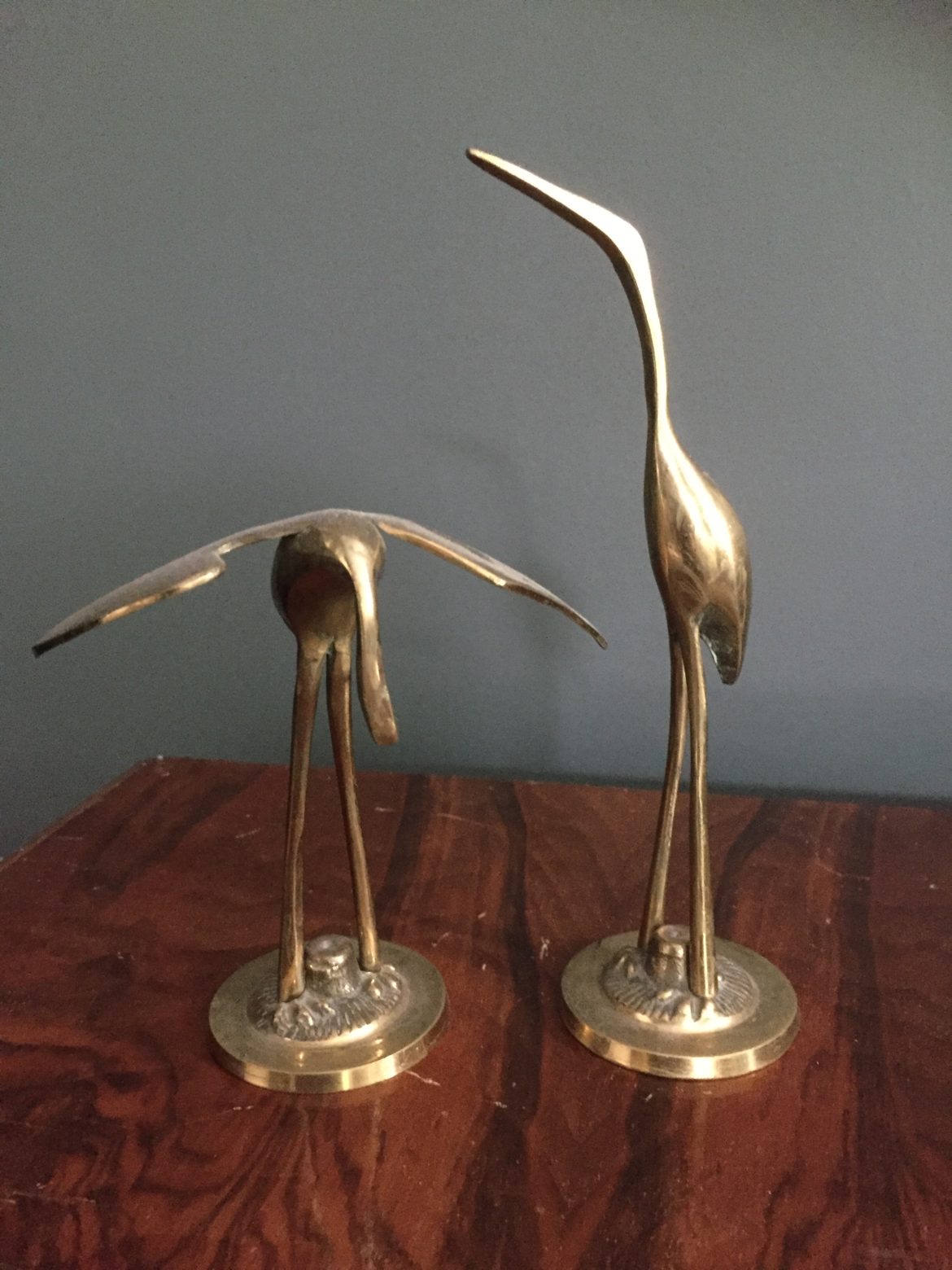 herons 1