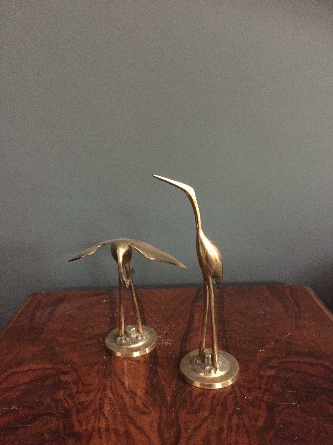 herons 2