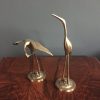 herons 4