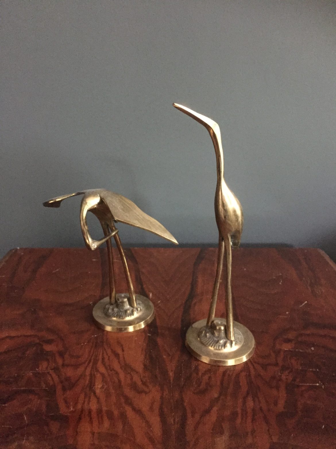 herons 4